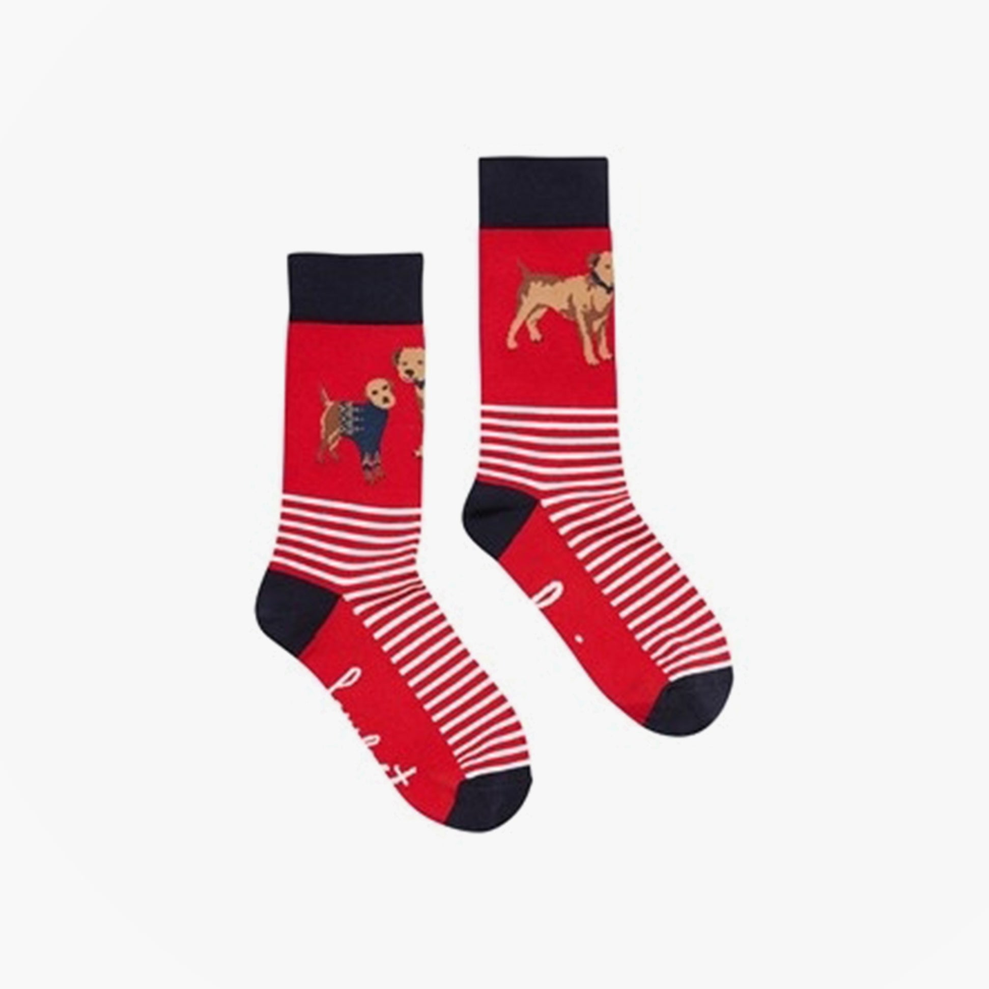 Joules EXCELLENT EVERYDAY SINGLE Womens Socks Red Dog: UK 4-8