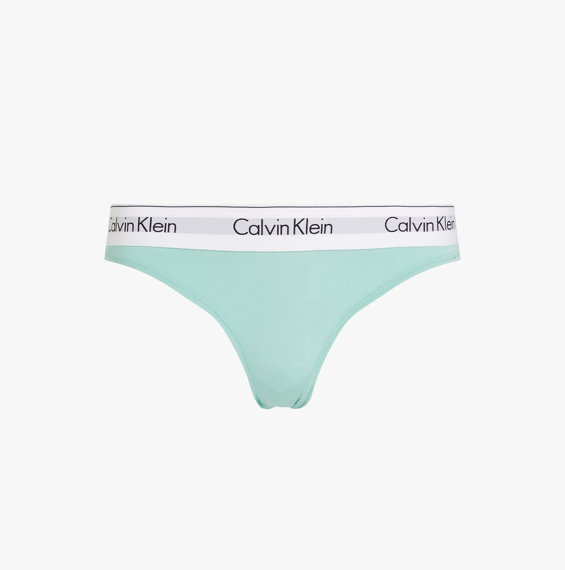 Calvin Klein ICON Cotton Modal Womens Bikini Briefs Womens Beau Blue
