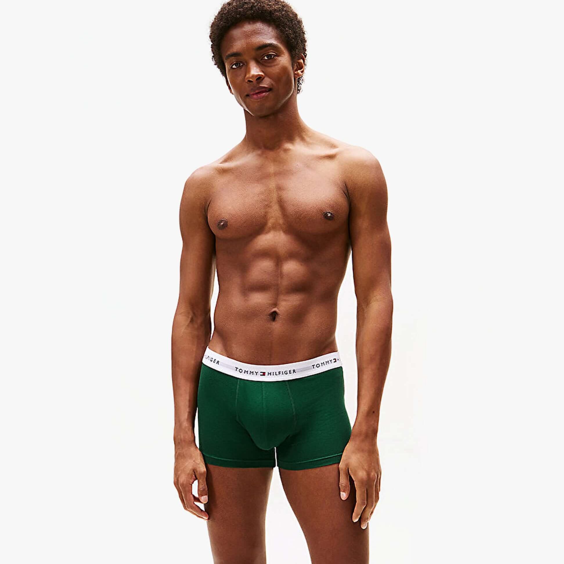 Tommy Hilfiger Mens 3 Pack Logo Waistband Trunks Multi