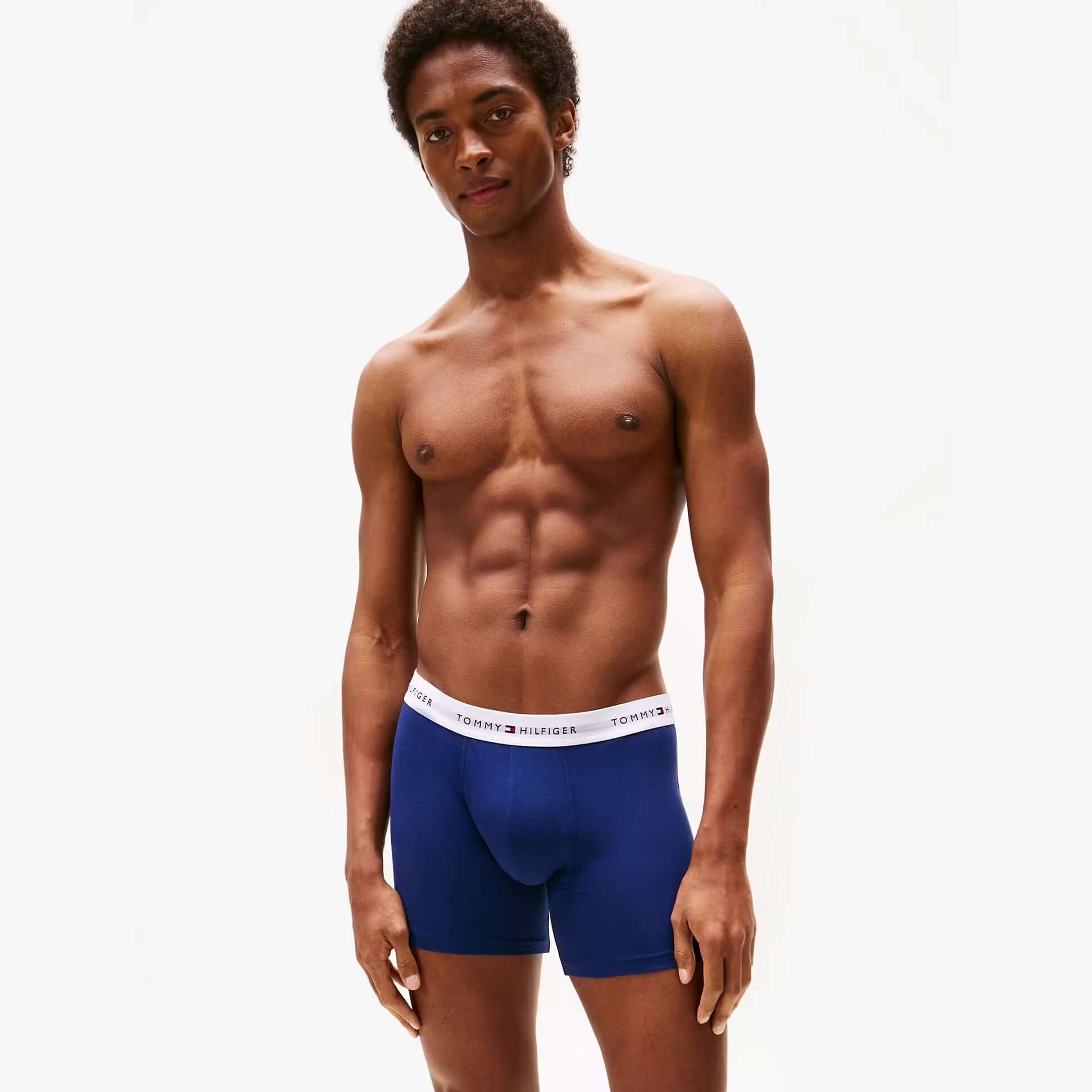 Tommy Hilfiger Mens 3 Pack Logo Waistband Boxer Briefs Multi