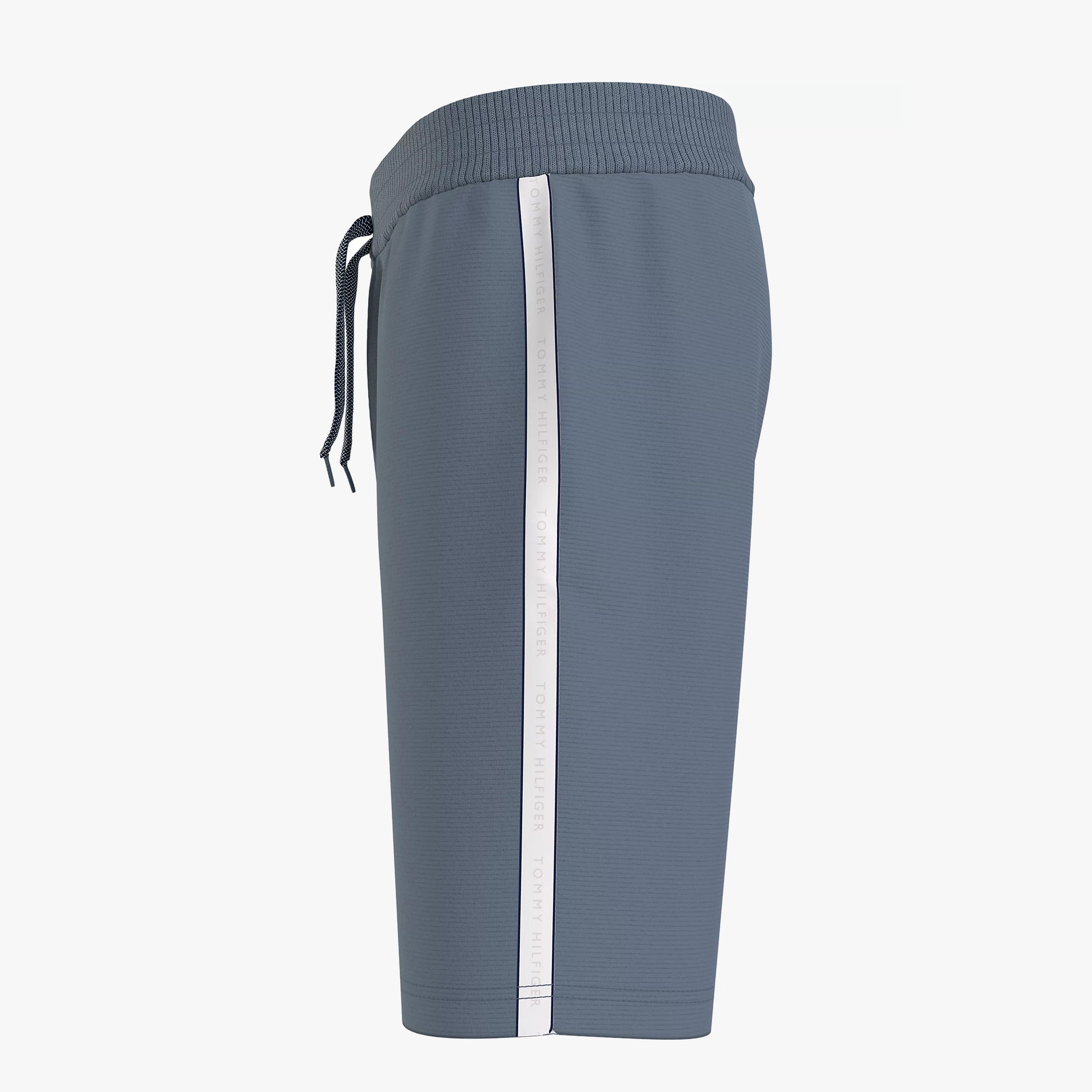 Tommy Hilfiger HWK SHORTS Mens Blue Coal