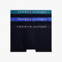 Tommy Hilfiger Mens 3 Pack Logo Waistband Trunks Navy
