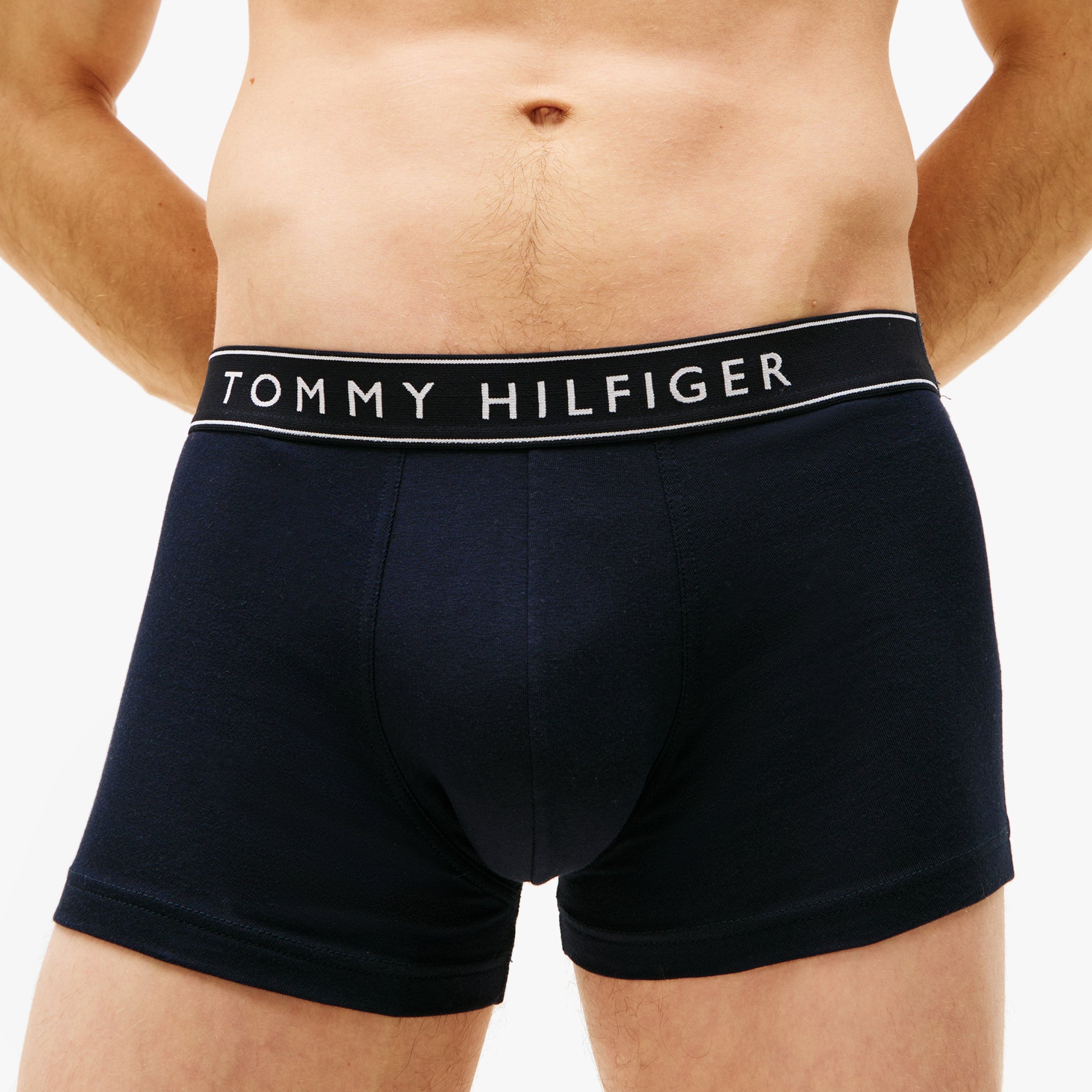 Tommy Hilfiger 3 Pack Mens Trunks Des Sky/Calico/Fssl Blue