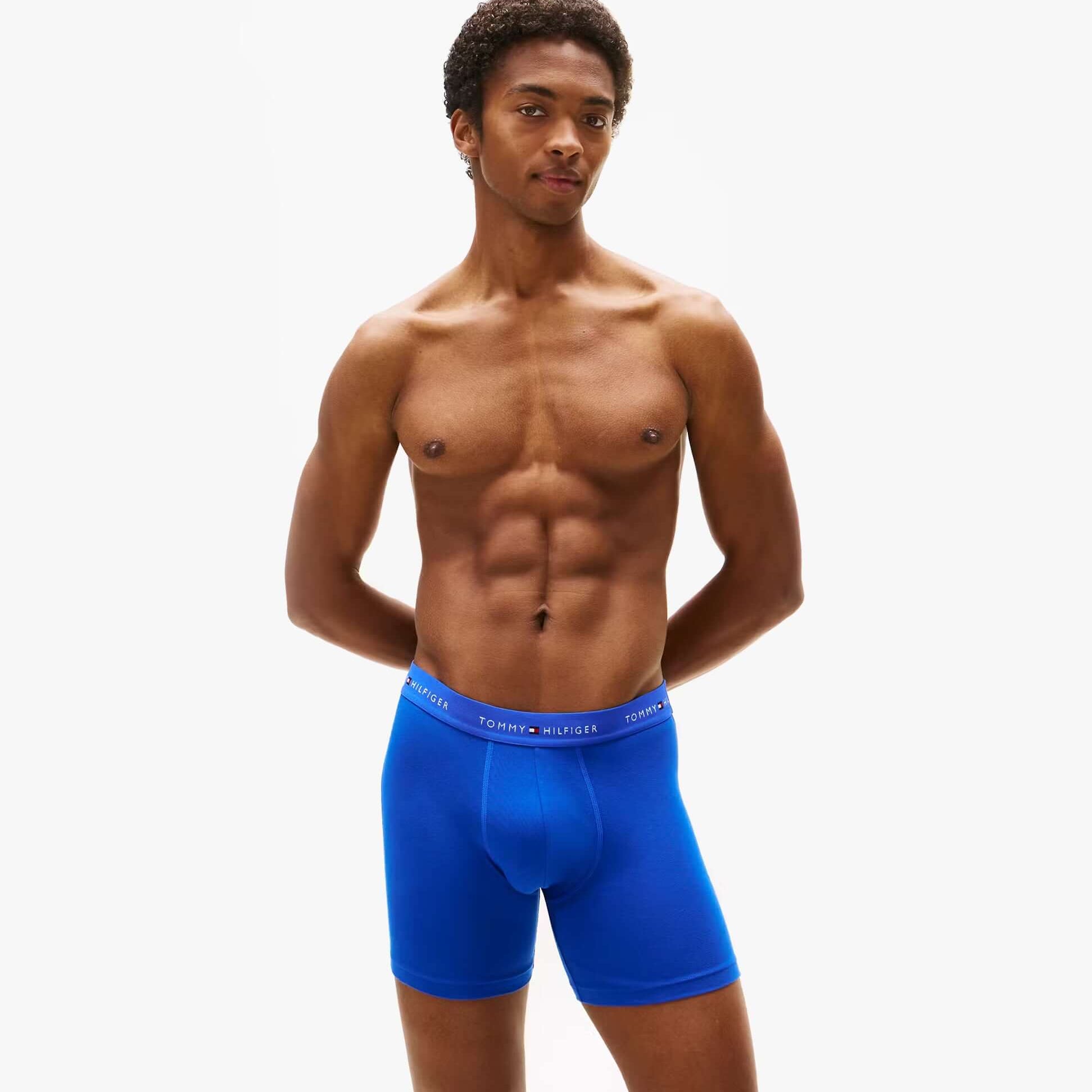 Tommy Hilfiger 3 Pack Mens BOXER BRIEF Multi