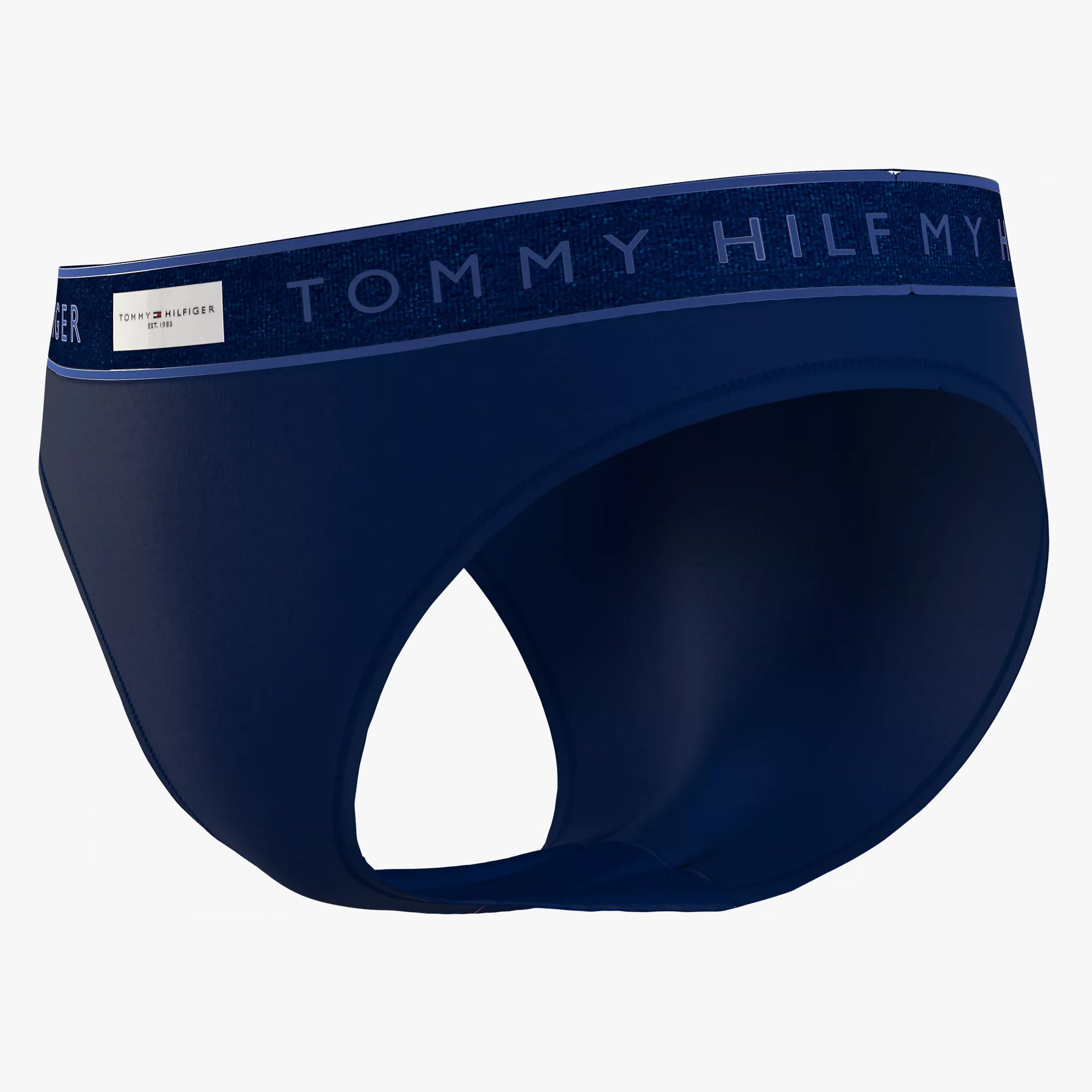 Tommy Hilfiger Bikini Womens Desert Sky