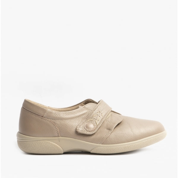 DB Shoes