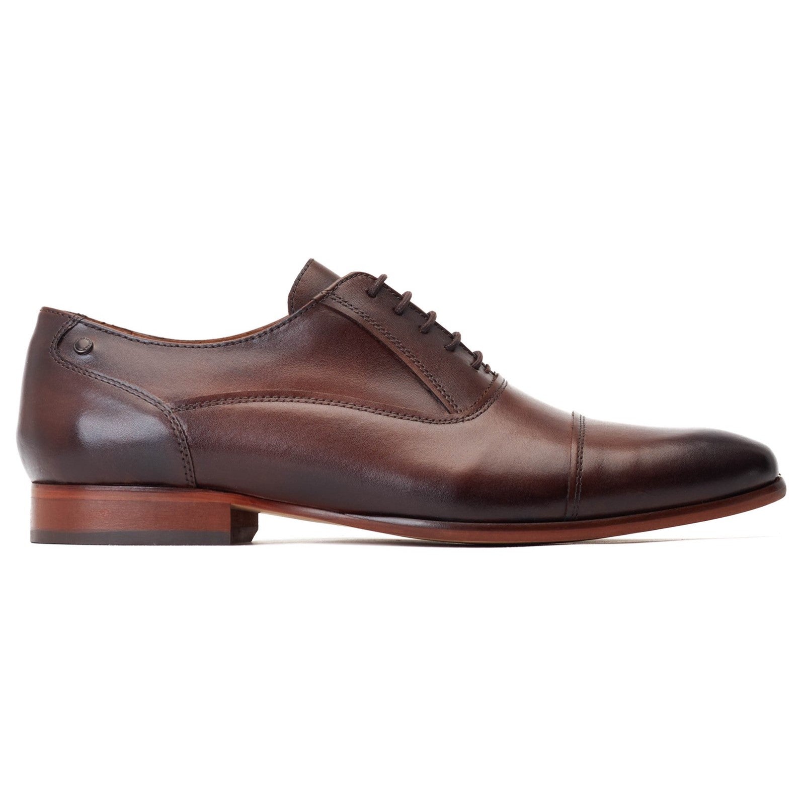 Base London ANGELO Mens Shoes Brown