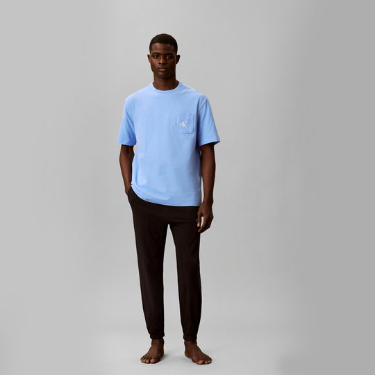 Calvin Klein 2 PACK SS T-SHIRT Mens T-Shirts & Tank Tops Blue Descent