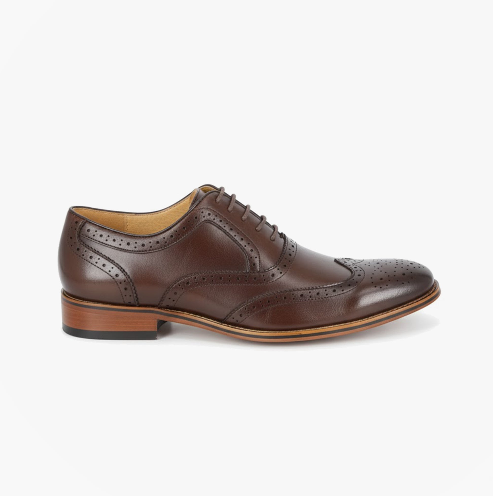 Goor M424DB Mens Shoes Dark Brown