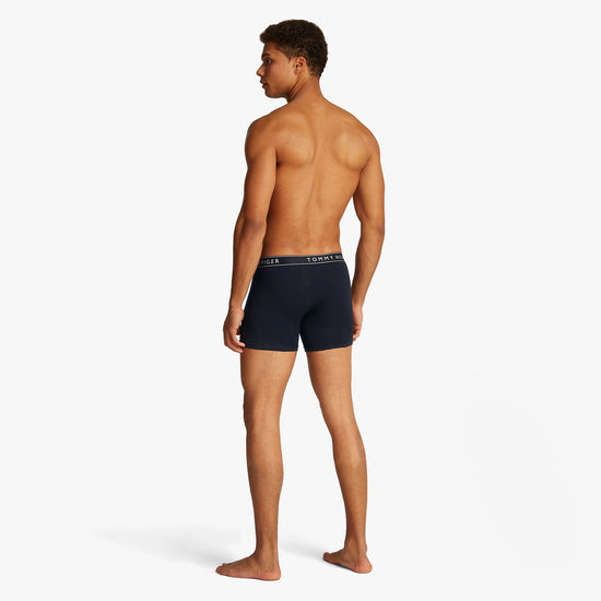 TommyHilfiger-[UM0UM034580WG]-DesSky-DesSky-DesSky-3.jpg
