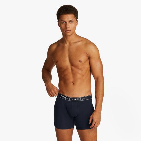 TommyHilfiger-[UM0UM034580WG]-DesSky-DesSky-DesSky-4.jpg