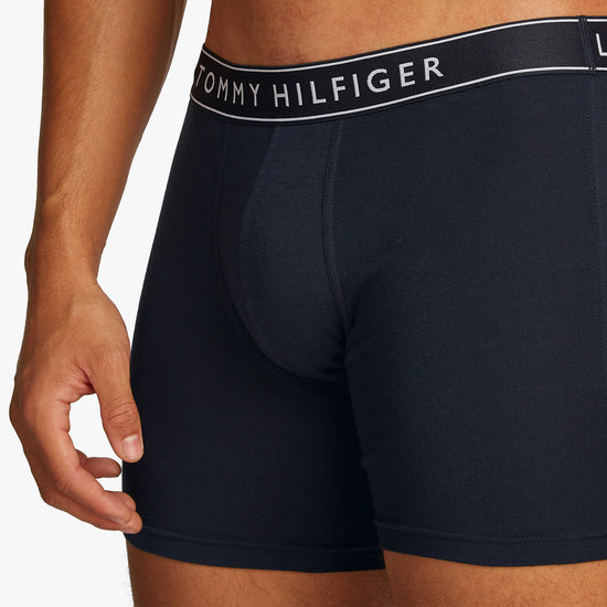 TommyHilfiger-[UM0UM034580WG]-DesSky-DesSky-DesSky-5.jpg