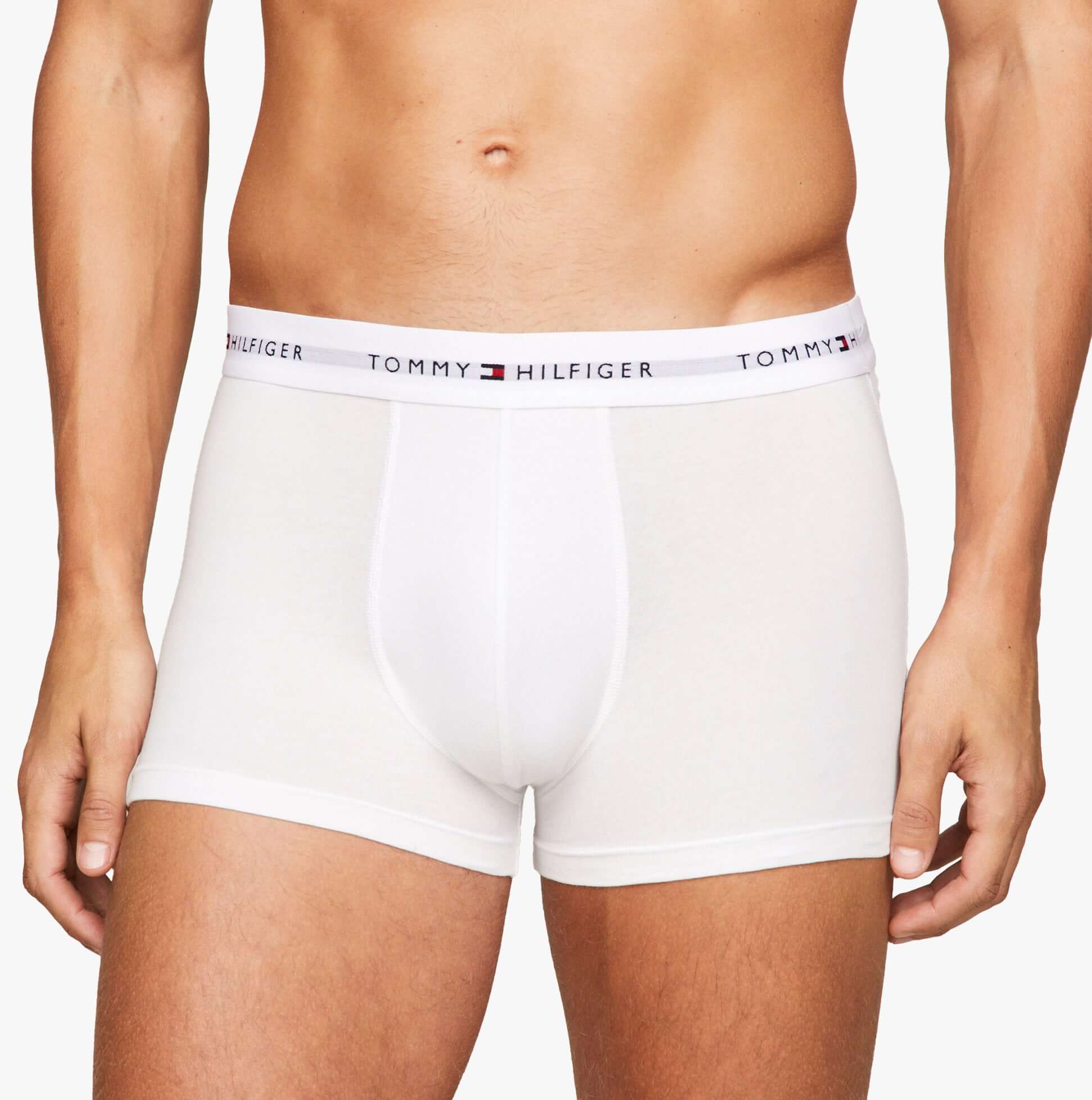 Tommy Hilfiger Mens 3 Pack Logo Waistband Trunks Multi