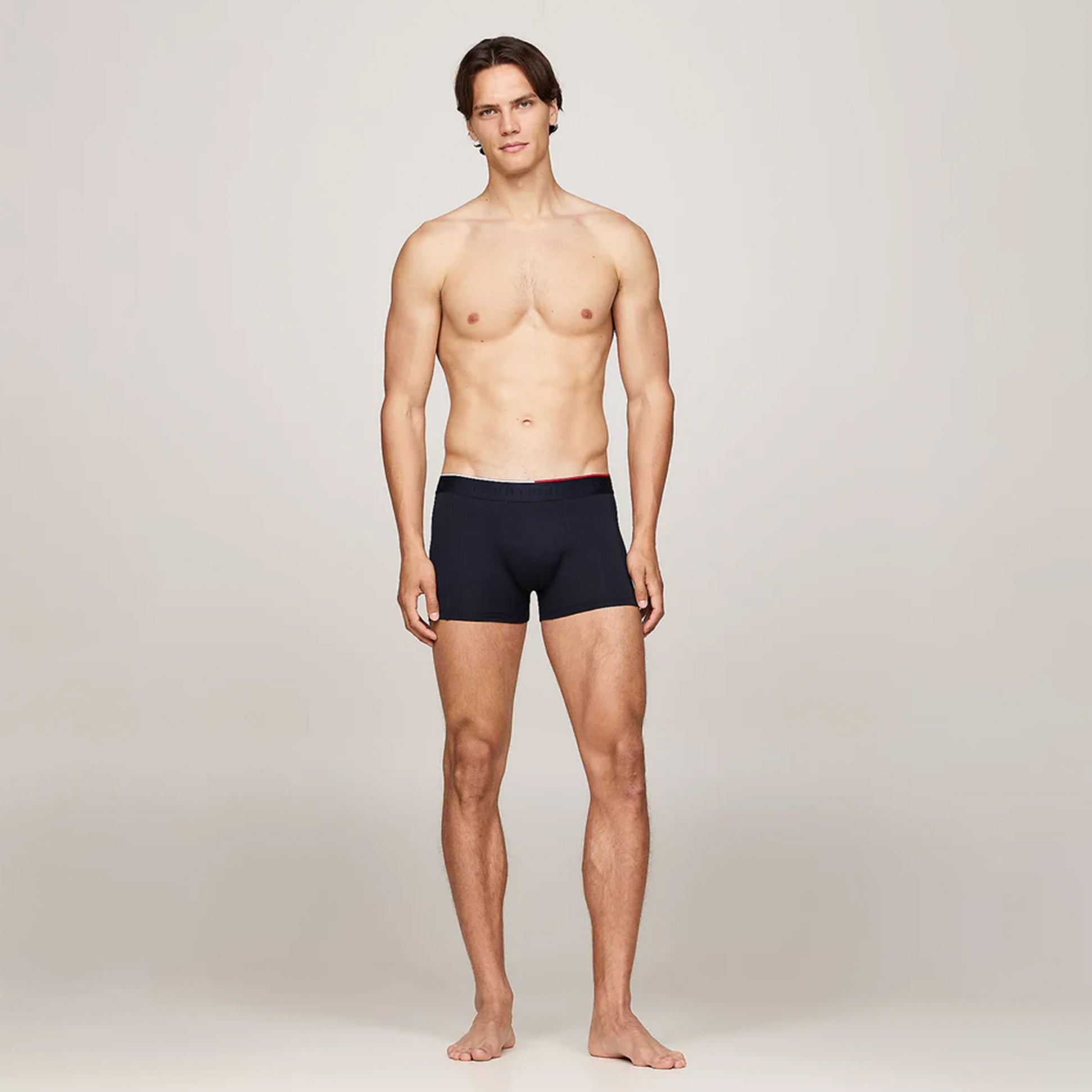 Tommy Hilfiger EVERYDAY MICRO Mens  3 -Pack Trunks Multicoloured