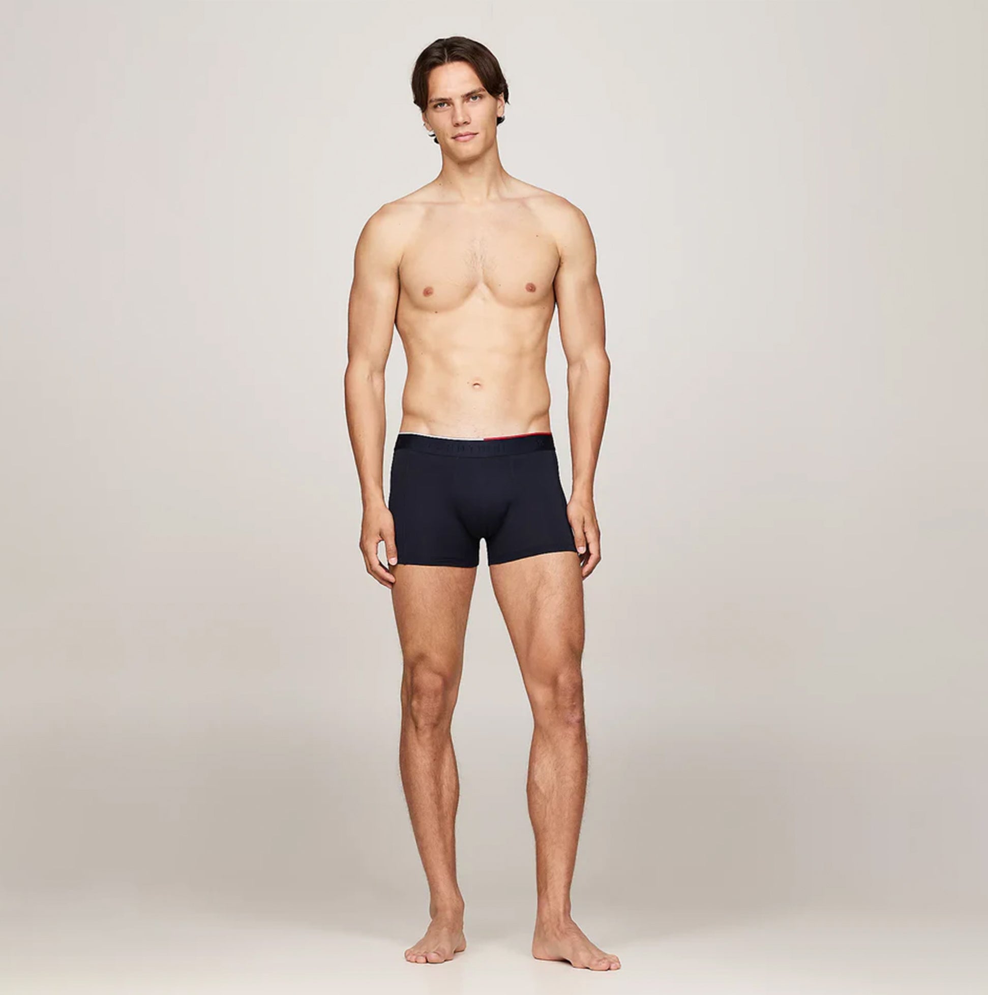 Tommy Hilfiger EVERYDAY MICRO Mens  3 -Pack Trunks Multicoloured