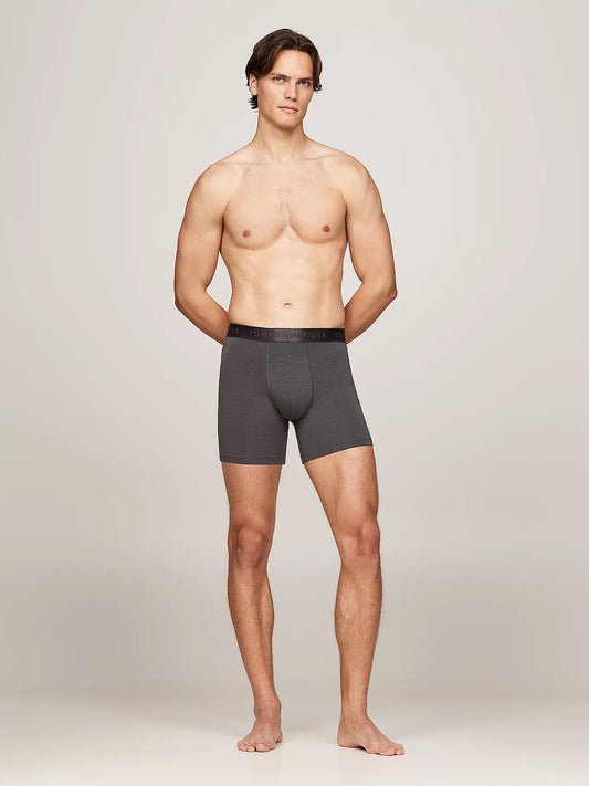 Tommy Hilfiger EVERYDAY LUXE Mens  3 -Pack Boxer Briefs Multicoloured