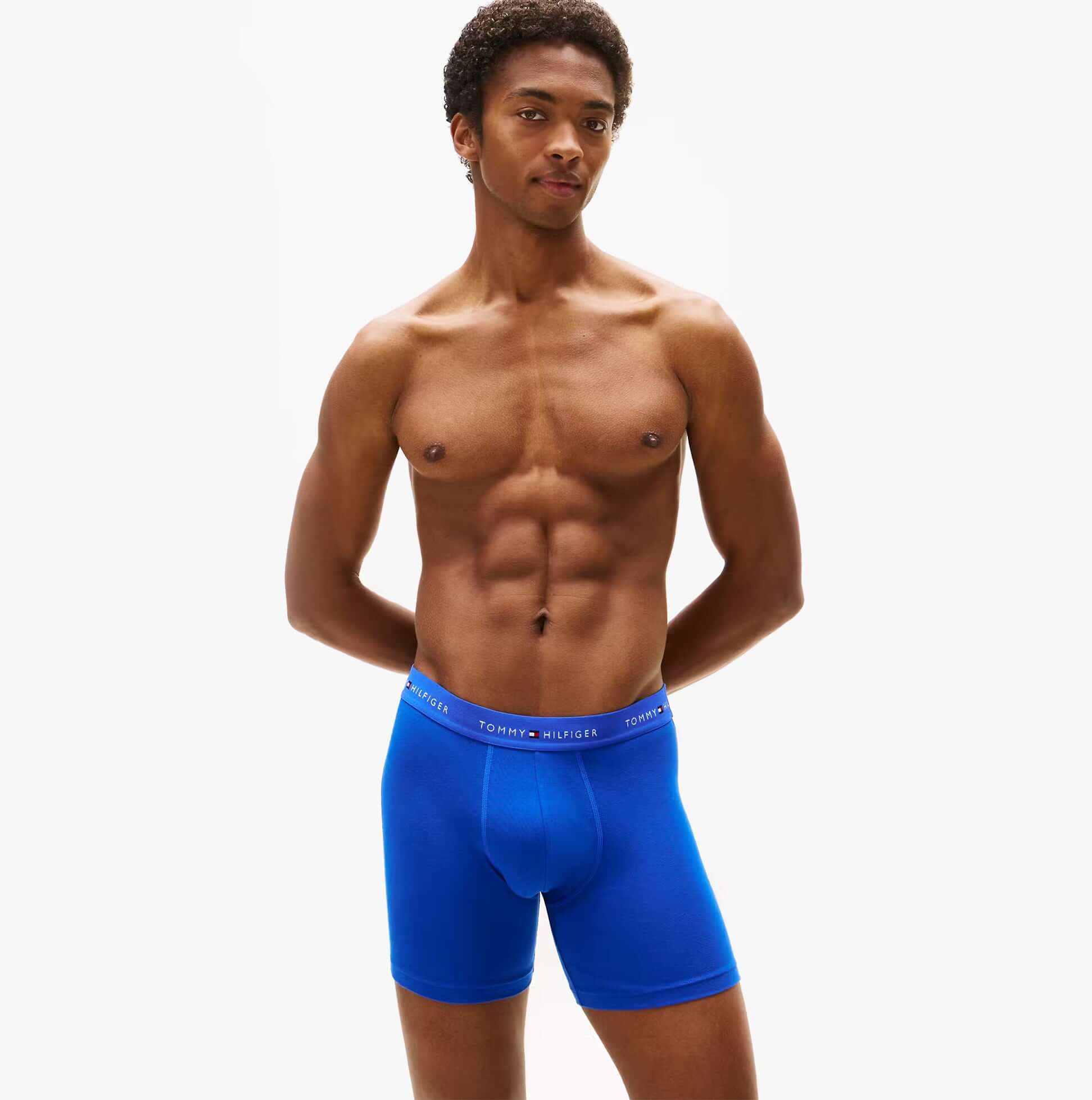 Tommy Hilfiger 3 Pack Mens BOXER BRIEF Multi