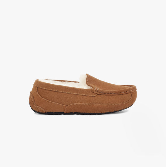 UGG ASCOT Unisex Kids Slippers Chestnut Suede