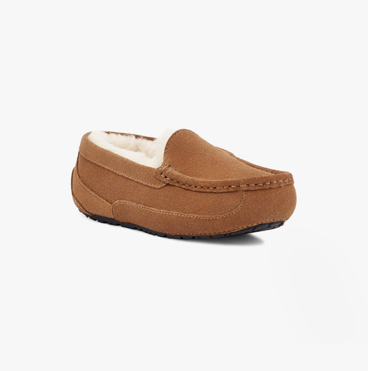 UGG ASCOT Unisex Kids Slippers Chestnut Suede